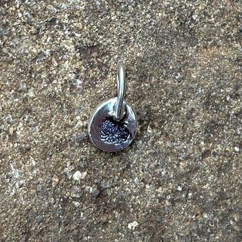 chrysanthemum charm