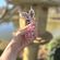 betty bunhead tiaras