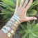 vintage bangle