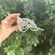handmade ballet tiara