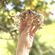 handmade crown