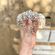 dance crown