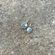 moon and back charm