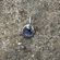 chrysanthemum charm